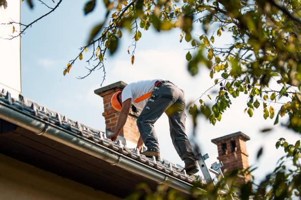 Best Roof Waterproofing Services  in Ledbetter, KY